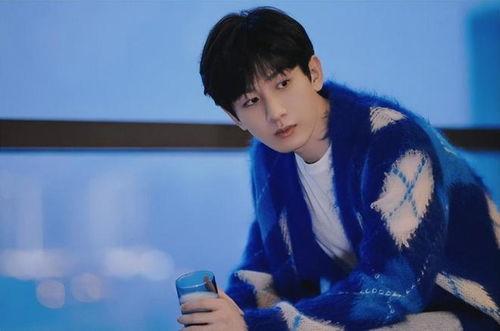 成毅被人爆料视频大全集,揭秘事件全记录