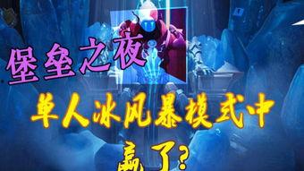 冰风暴视频在线观看,在线观看，揭秘极寒之下的惊心动魄