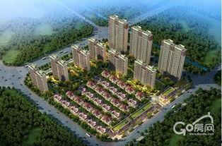 盐城碧桂园爆料案件最新,揭秘背后惊人真相与维权之路