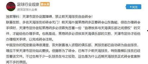足协博主爆料新闻,揭秘足坛最新动态