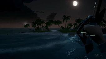 高清 午夜 在线观看